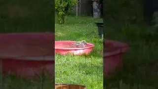 Der kleinen Möwe geht es wieder gut