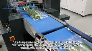 Fully automatic vegetable packaging machine+Weighting and labeling machine 680XWS- SAMSONPAC