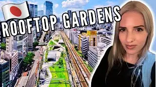Top FREE Spots to Relax in Shibuya Tokyo!
