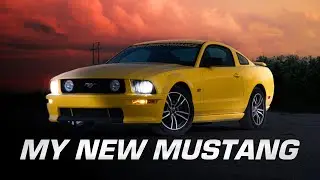 Did I buy the Best Mustang On a Budget?