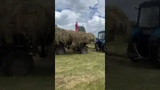 СЕНО...