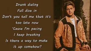 Niall Horan - San Francisco (Lyrics)