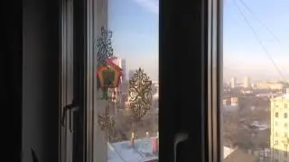 Синица в поднебесной кормушке