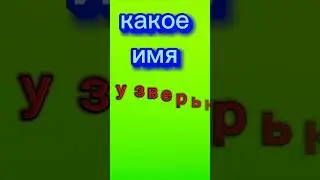 1 ЧАСТЬ ДРУЗЬЯ НАВСЕГДА КИНИТО ПЕТ 