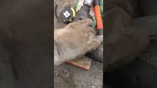 дрель старушка по имени погремушка #стройка #сварка #дача