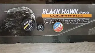 Teste comparativo com alguns chumbinhos na black hawk 5.5 70kg.