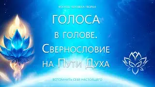 Голоса в голове. Сквернословие на Пути Духа