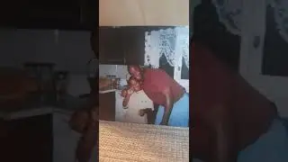 Bryson Gray - GOD WINS