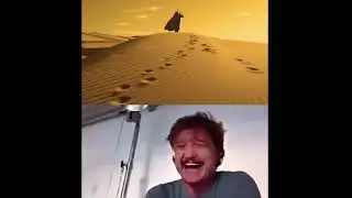 Teh Funi