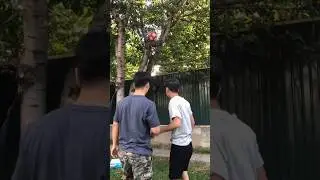 Тупой и еще Тупее