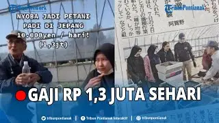 🔴 VIRAL Mahasiswi Indonesia Kerja Jadi Petani di Jepang, Digaji Rp 1,3 Juta Sehari