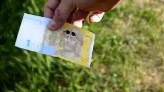 Фокус с деньгами. Фокусник Украина | Артур Томашевский