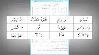 Тренировка языка Удваивание и Сокрытие. Шейх АбдульКадир Альу'сман