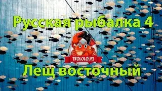 Русская рыбалка 4 Лещ восточный фарм на ахтубе