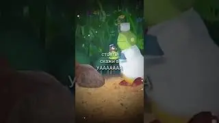 #прикол
