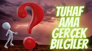 Tuhaf ama Gerçek Bilgiler