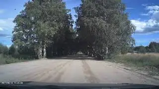 Архангельская область, д. Васильевская,Белая Слуда,Березонаволок....Дом где живут мои родственники..