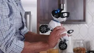 CHIP - The World's First Lovable Robot Dog | Future Technology