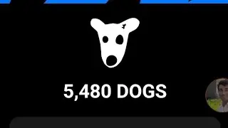 Dogs Airdrop Telegram Claim Now | Telegram এর নিজস্ব AirDrop Project | Joining The AirDrop