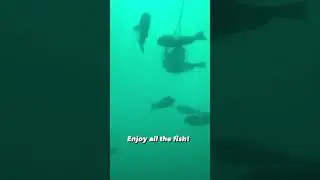 Reverse Aquarium in Japan…the Fish Watch You!!! #japan #aquarium #travel