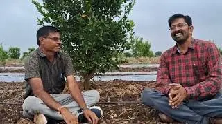 संत्रा पिकामध्ये पाणी आणि खत व्यवस्थापन | Netafim Drip Irrigation 