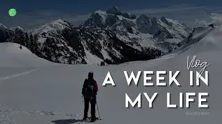 A Week in the Life | Vlog - Working, Socializing, Networking, Snowshoeing