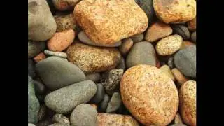 Tide Pool (Official Music Video)