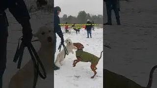Наші групові тренування 