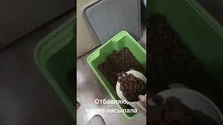 Маловато для Барона 🤣