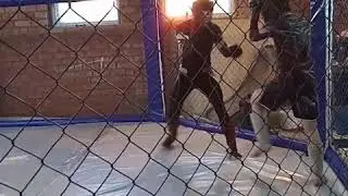 ММА спарринг 3 по 5 мин(4)