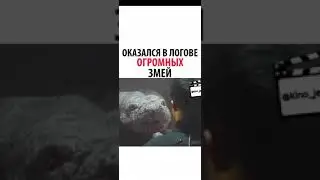 ОКАЗАЛСЯ В ЛОГОВЕ ОГРОМНЫХ ЗМЕЙ
