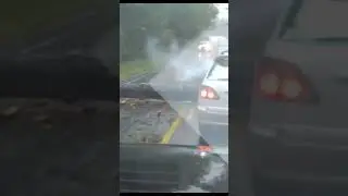 Упало дерево перед движущемся авто