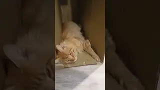 Вы бухает е.