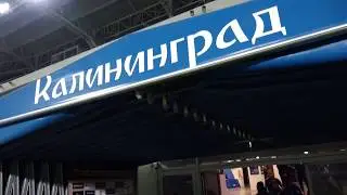 8.11.19| Тренировка перед матчем с 