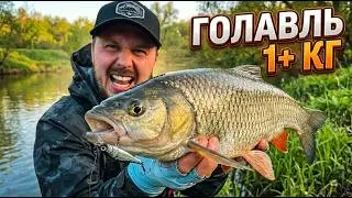 SPRING TROPHY! THE BEST CHUB AND ASP FISHING 💯 2026!