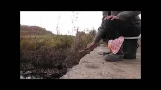 Ловим малька осенью на Зимнюю удочку