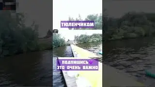 #хозяева