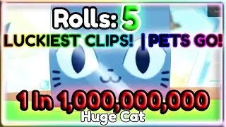 😱 THE LUCKIEST YOUTUBERS IN PETS GO! 😱🍀📸