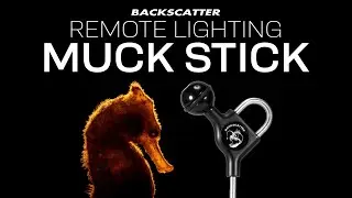 Backscatter Remote Lighting Muck Stick
