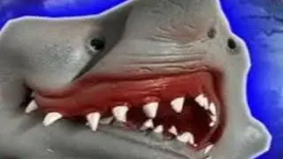 Shark Puppet Compilation Part 2