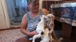 В Бабьем Царстве большое пополнение.