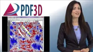 How To Add 3D PDF Conversion Functionality to Applications using PDF3D SDK