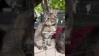 Это в Алмате. Хотели бы пожертвовать деньги? Если да то напишу в коментах реквизиты.