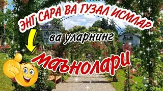 Исмлар маъноси . Энг сара ва гузал исмлар . Ismlar ma ‘nosi.  Eng sara va guzal ismlar.