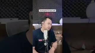 Setangkai bunga padi