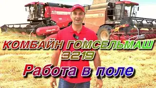Комбайн Гомсельмаш 3219. Работа в поле. #Гомсельмаш #уборочная #гибридныйкомбайн #Беларусскаятехника