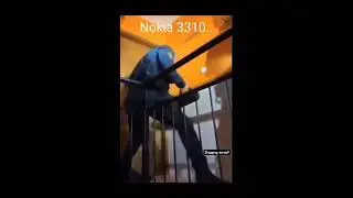 legendary nokia 3310 indestructible #nokia3310 #funny #hydraulicpress #śmieszne #shorts #hummer