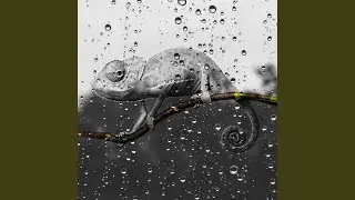 Lo-Fi ASMR
