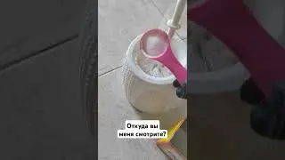 Туалетный ершик будет как новый #elenamatveeva #рецепты #каксделать #бюджетныесоветы #рецепт #видео