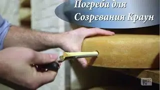Погреба для Созревания Краун в Краун Хайтс